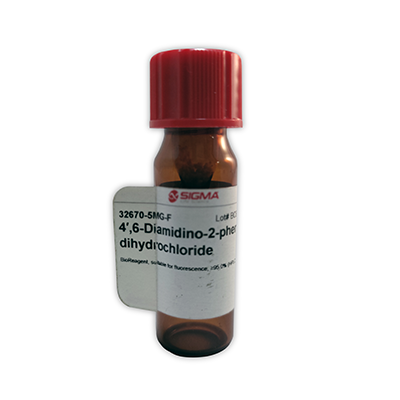 4′,6-Diamidino-2-phenylindole dihydrochloride