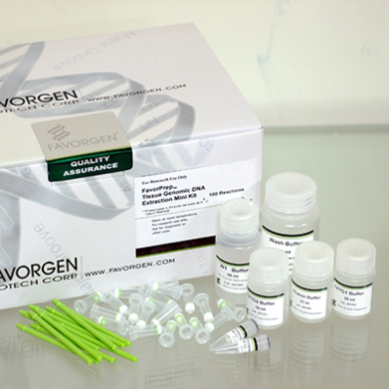 Kit para extracción de DNA genómico de hongos/levaduras 50preps